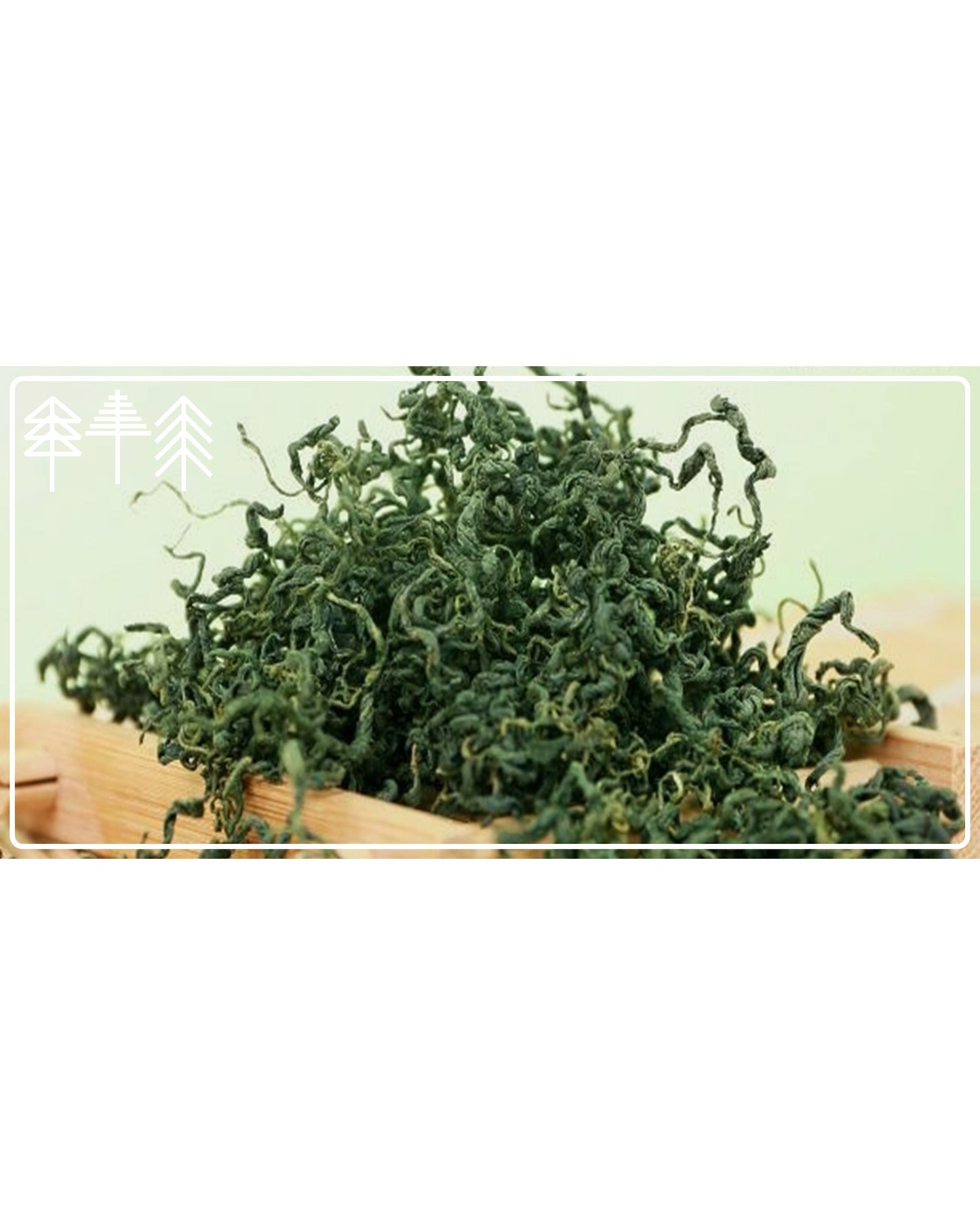 JIAOGULAN (Unsterblichkeitskraut) - Ganze Blätter aus Wildsammlung (100g)